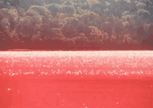 red-tide-red.gif